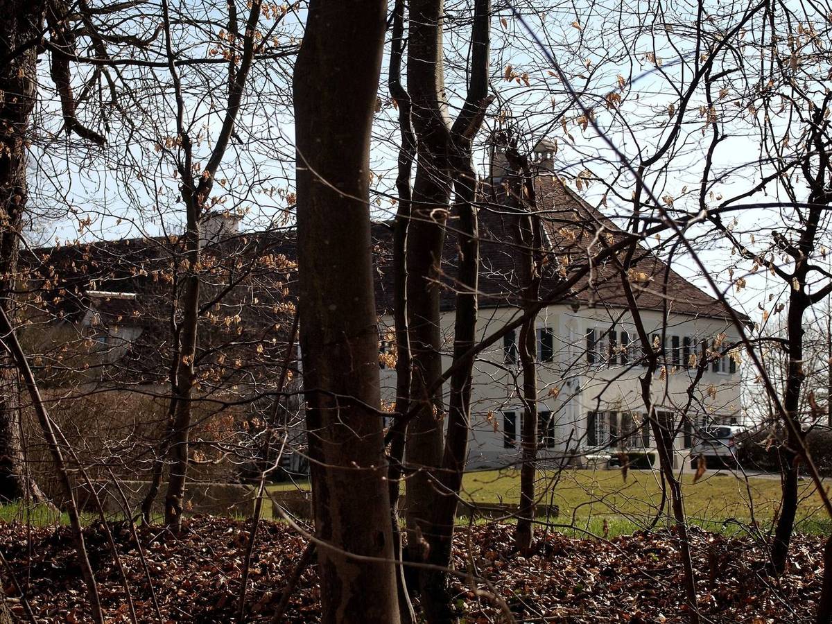 Schloss Greifenberg