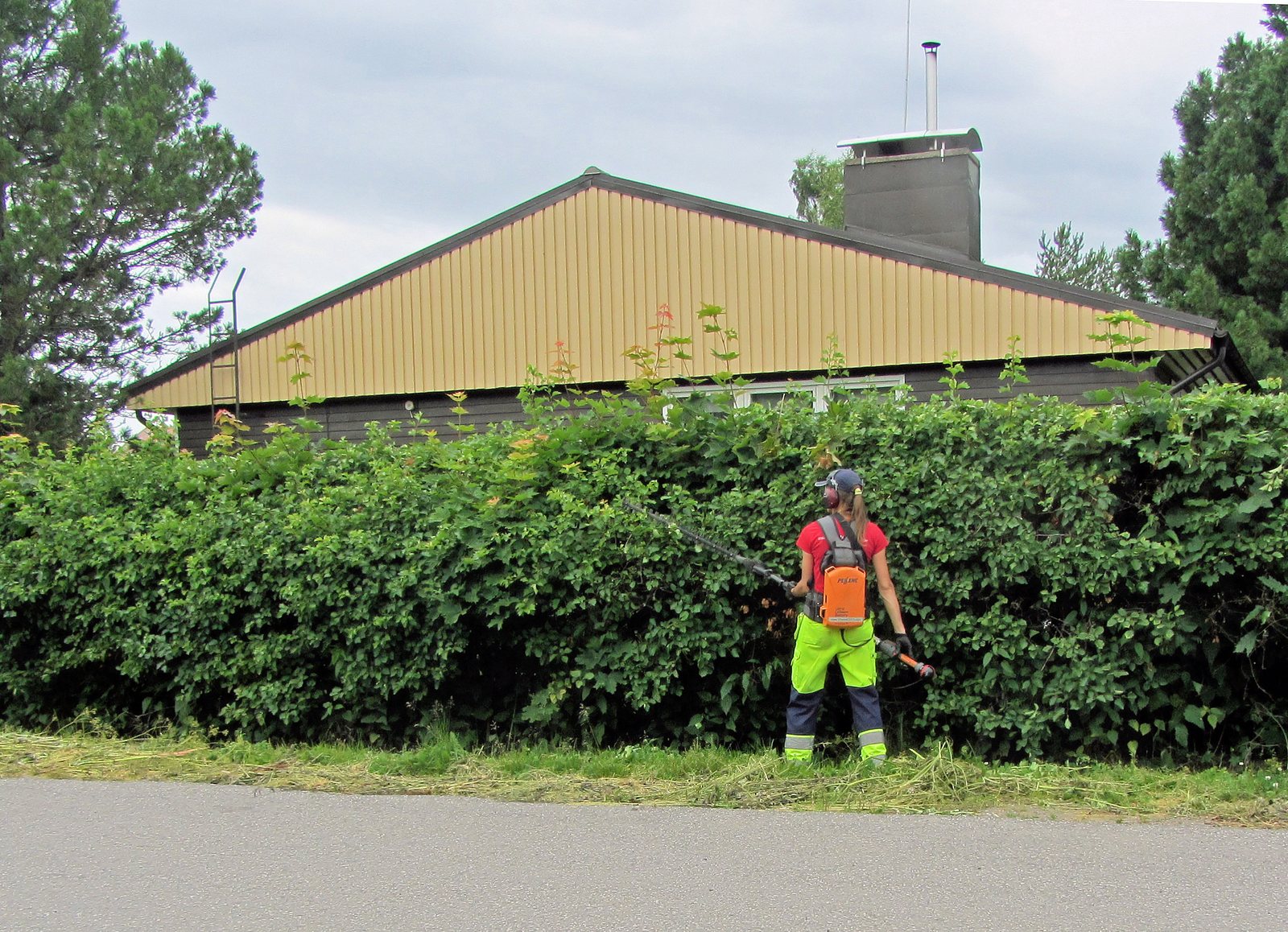 Gärtner schneidet eine Hecke vor einem Wohngebäude
