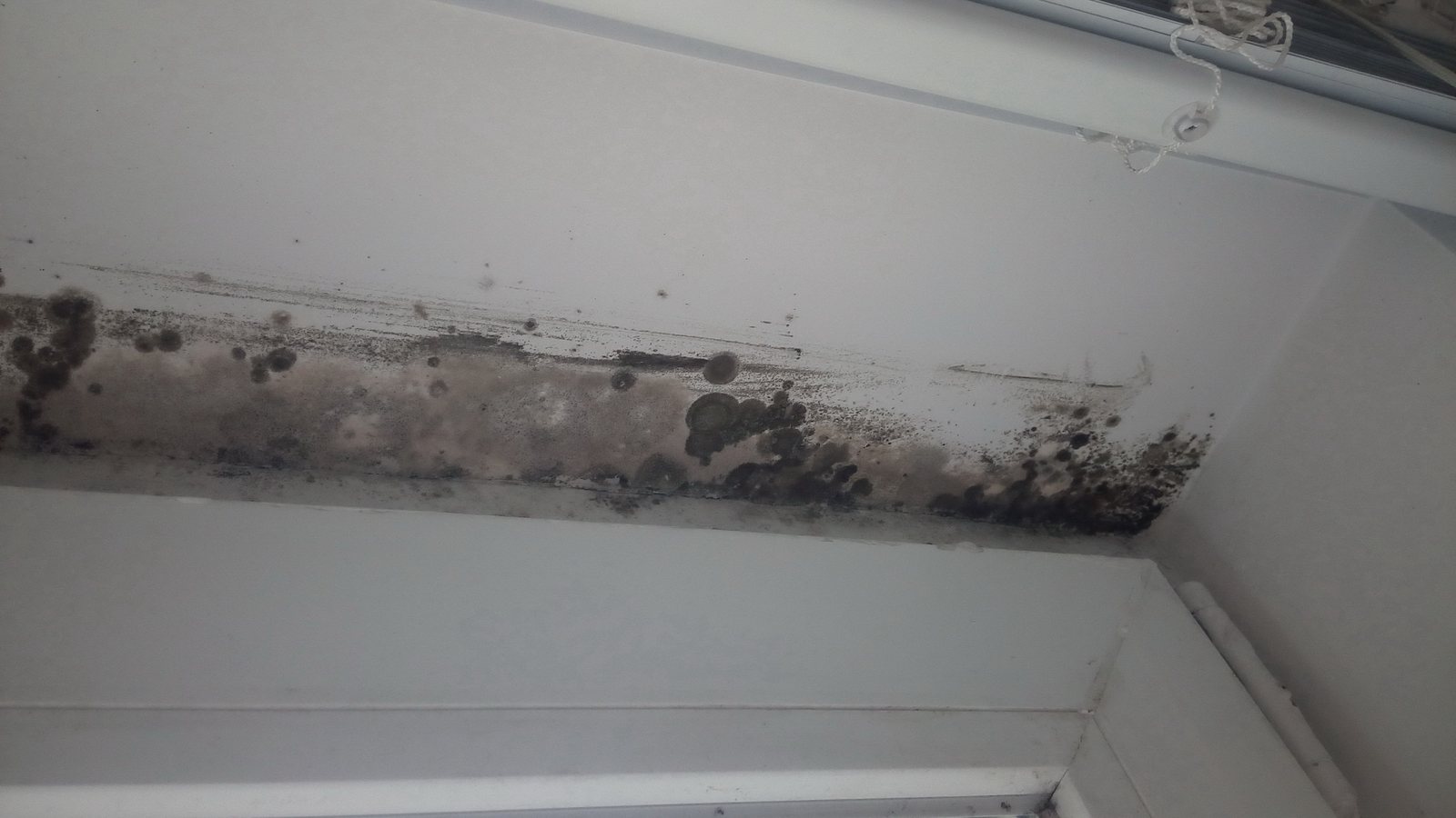 Schimmel an Wand und Decke über einem Fenster